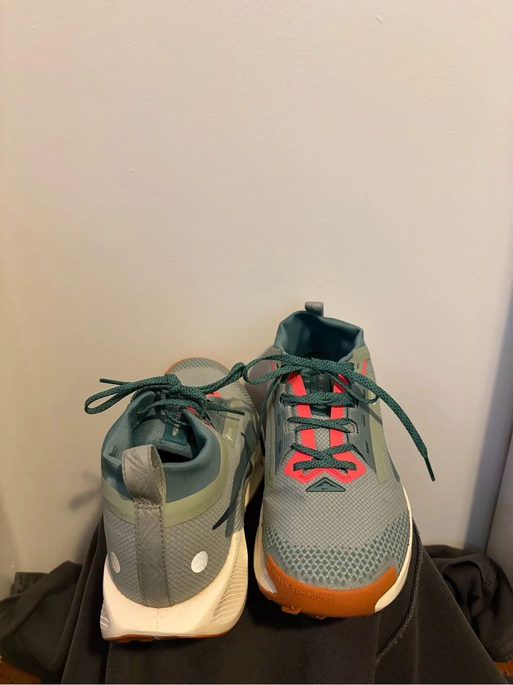 Nike Pegasus Trail GORE-TEX Running Shoes
